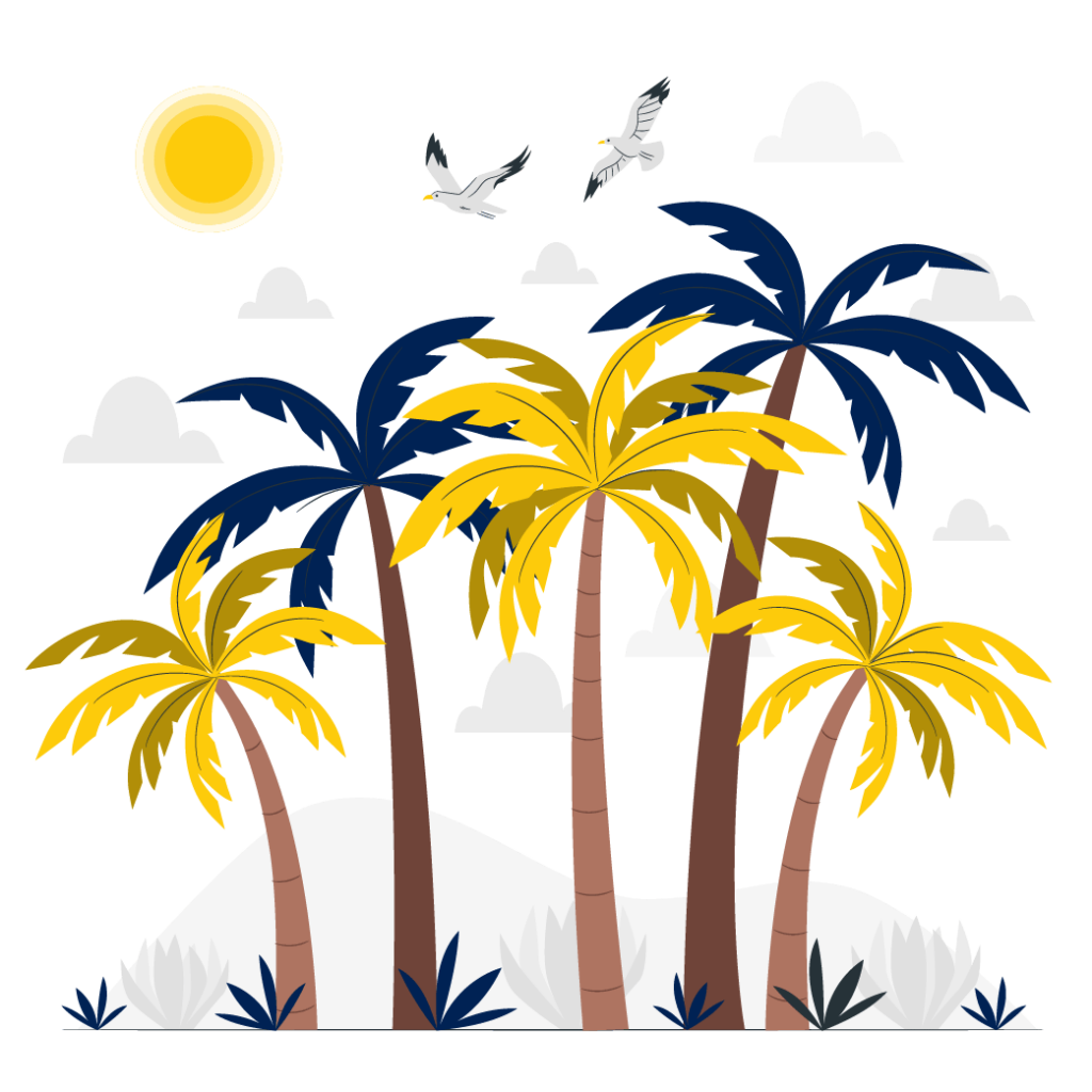 bookkeeping miami